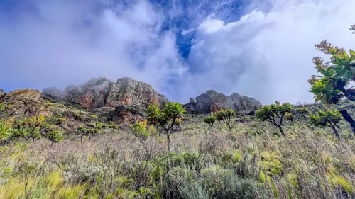 mount elgon bushiyi trail