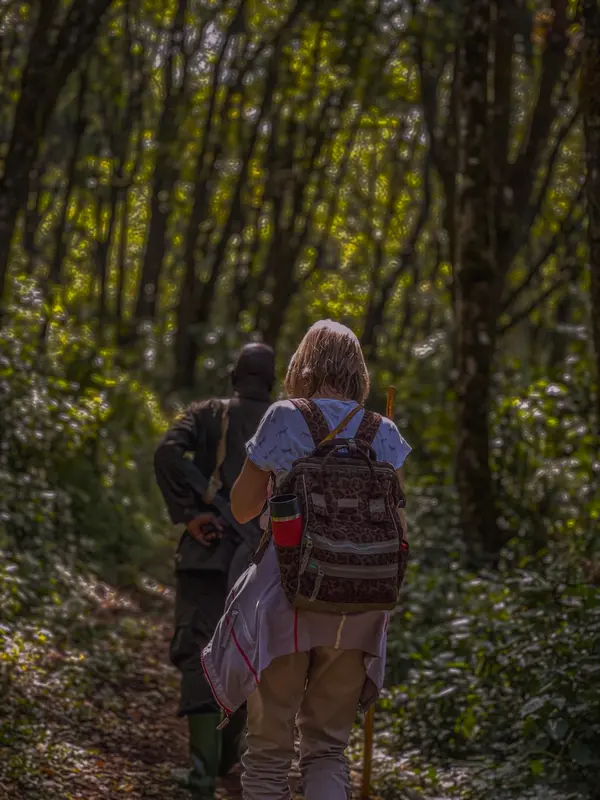 mount elgon forest