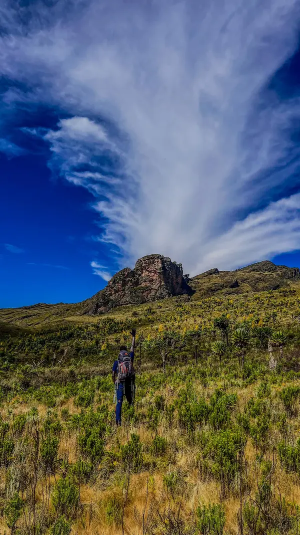 nature mount elgon