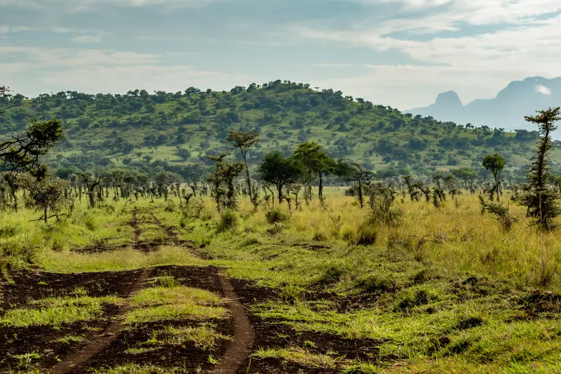 Pian Upe Reserve Pian Upe Reserve