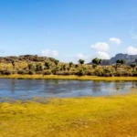 Jacksons Pool Mount Elgon